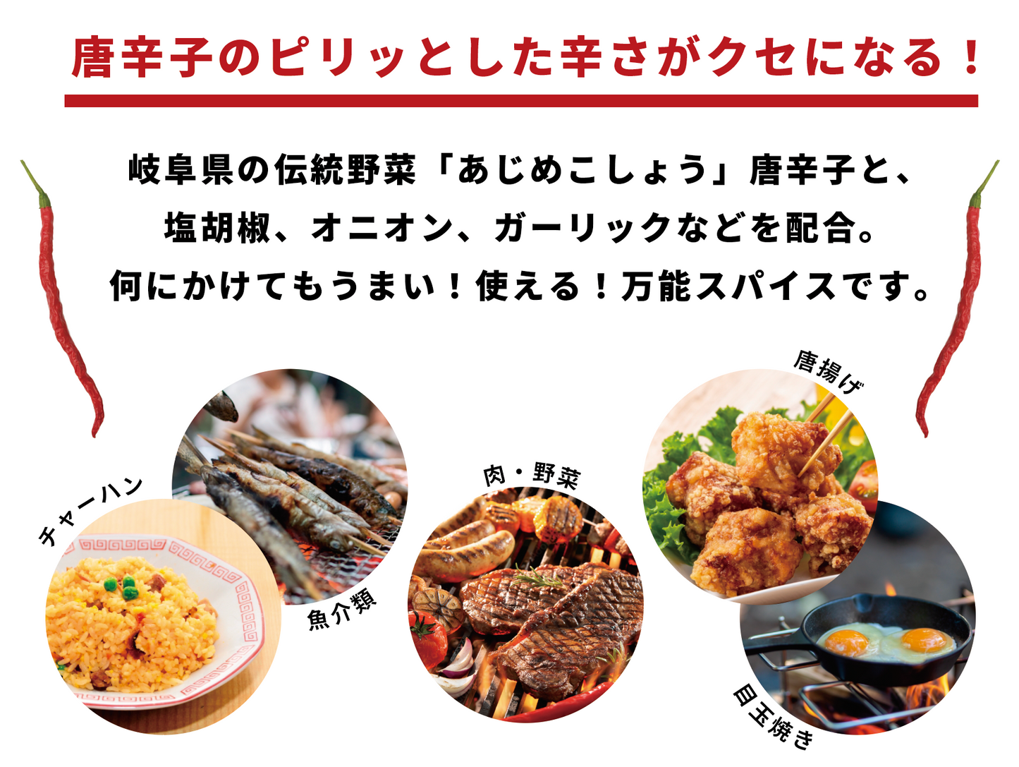 オリジナルスパイスAJIME(50g)