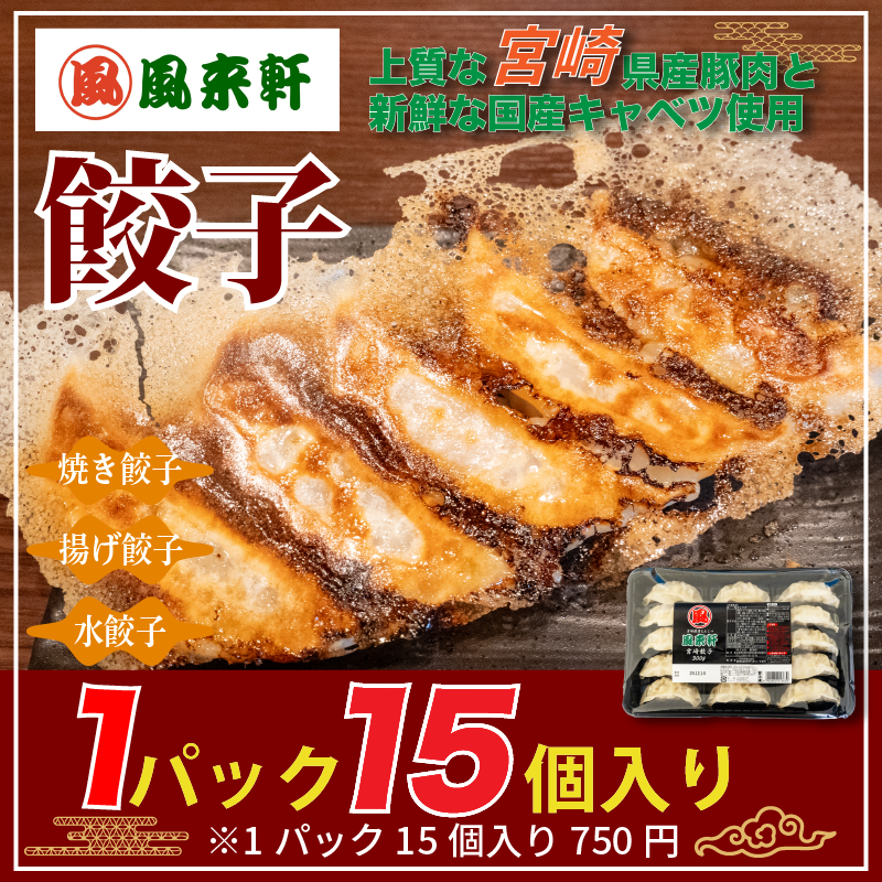 冷凍餃子15個(1パック)