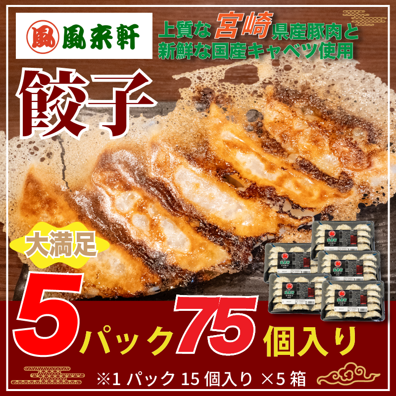 冷凍餃子75個(5パック)