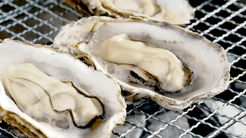 広島かきのカンカン焼き5kg