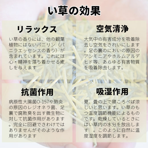 福岡花ござ い草カーペット 三条 江戸間3帖 (174×261cm) カラー:グリーン