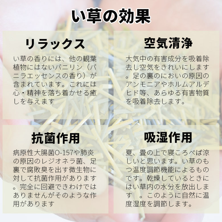 福岡花ござ い草カーペット 三条 江戸間2畳(174×174cm) カラー:グリーン