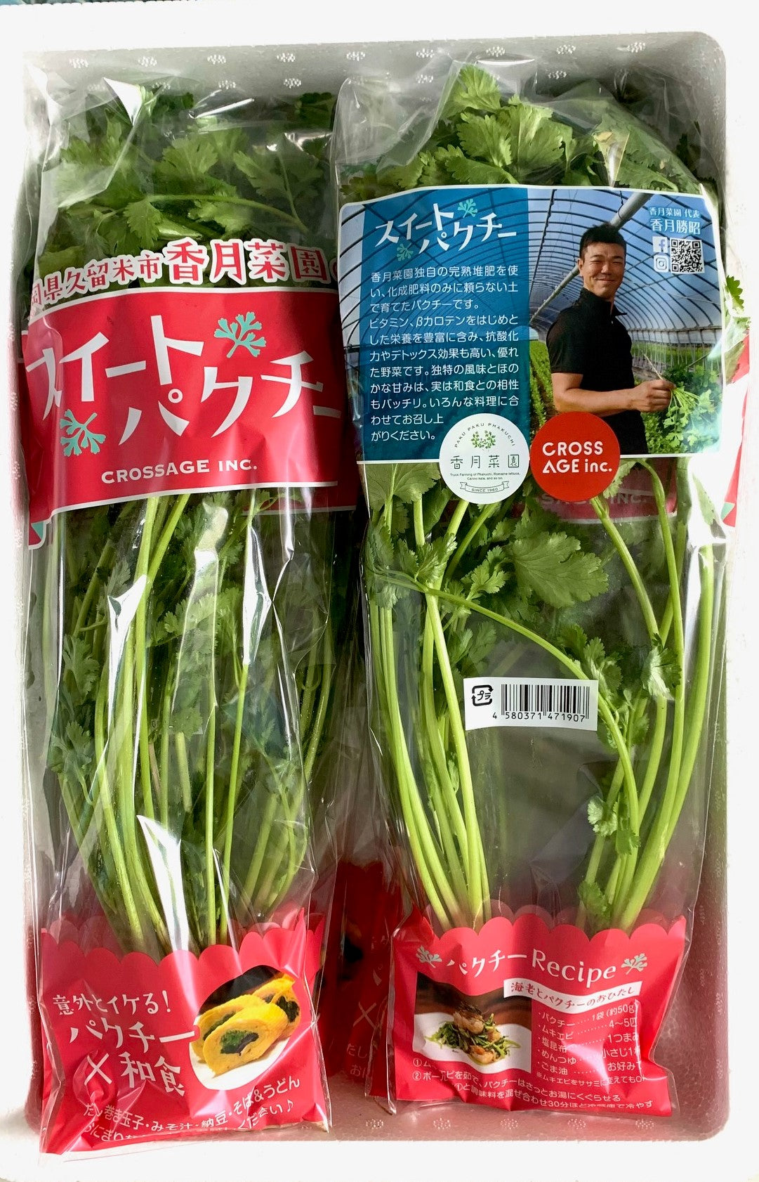 【生産量日本一】香月菜園のパクチー５０g/１０袋入り【送料無料】