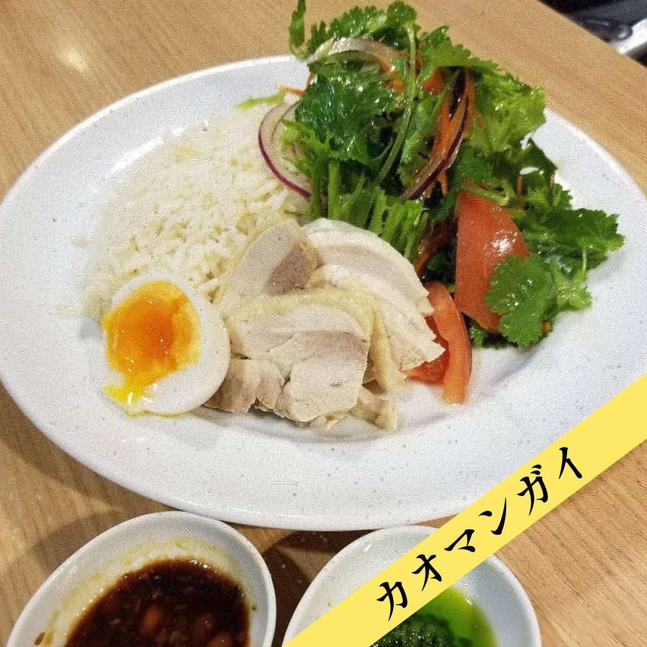 【送料無料】香月菜園のパクチー５０g/２０袋入り【生産量日本一の農家から直送】