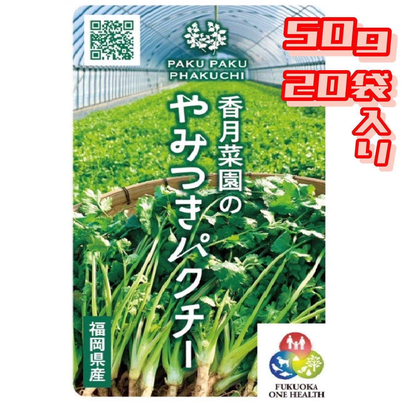 【送料無料】香月菜園のパクチー５０g/２０袋入り【生産量日本一の農家から直送】